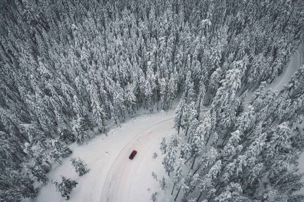 Snow_landscape
